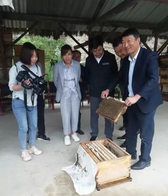岷县最新招聘信息，变化中的自信与学习铸就未来之路