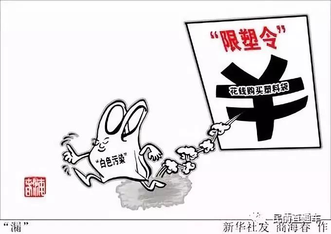禁塑令最新动态，坚定环保步伐，共创绿色未来
